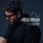 هیراد نیکنام – دیدی